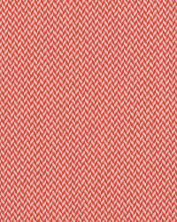 Sd-bermuda 33 Firecracker by  Covington 