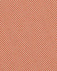 SD-Bermuda 340 Mandarin by  Covington 