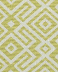 Sd-cambria 244 Acid Green by  Covington 