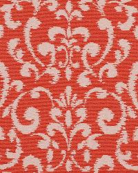 Sd-cecita 329 Salsa by  Covington 