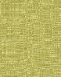 SD-Clearwater 244 Acid Green by   