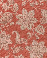 Sd-dominica 73 Rose Red by  Covington 