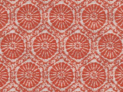 Sd-fossil 318 Persimmon in SD OUTDOOR WIND AND SEA PEDESTAL Orange POLYPROPYLENE  Blend Fire Rated Fabric
