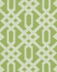 Sd-perry 232 Palm by  Covington 