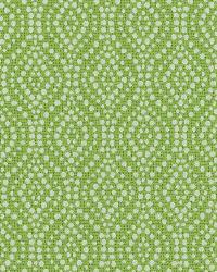 Squeeze 251 Island Green by  Covington 