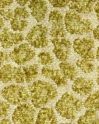 Animal Instinct Parrot by  Wesco 