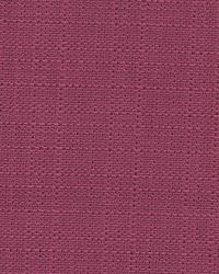 Base Hit Fuchsia by  Wesco 