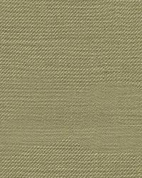 Delmonico Topiary by  Wesco 