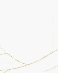 Fresh Start White by  Wesco 