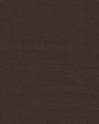 Limelight Cinnamon by   