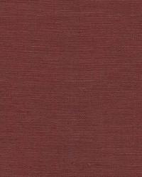 Limelight Magenta by   