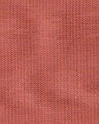 Limelight Terracotta by   