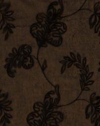 Natalie Chocolate by   