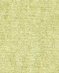 Sovereign Parrot by  Wesco 