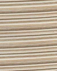 Straighten Up Cocoa by   